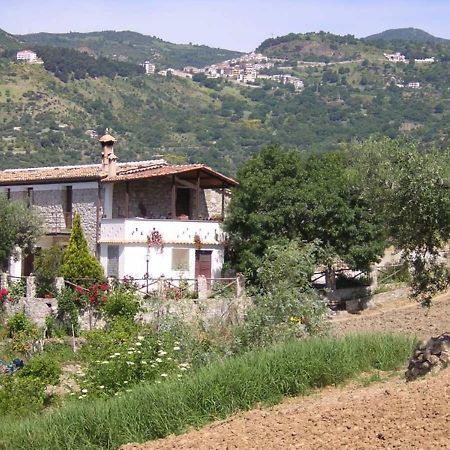 Вилла Agriturismo Acampora Cerchiara di Calabria Экстерьер фото