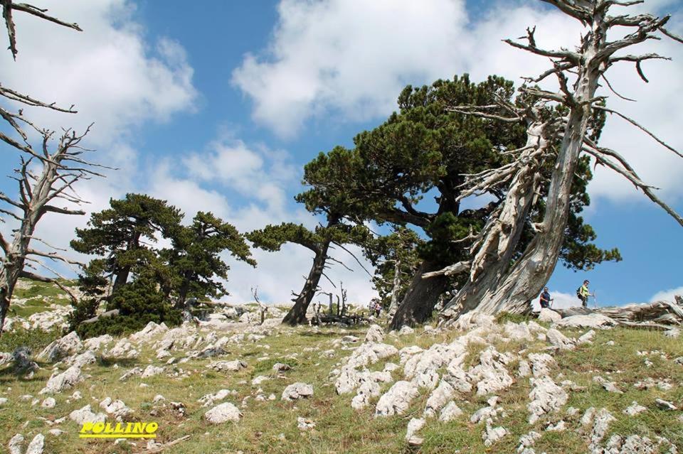 Вилла Agriturismo Acampora Cerchiara di Calabria Экстерьер фото